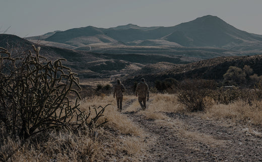 The Distillation of a Hunt