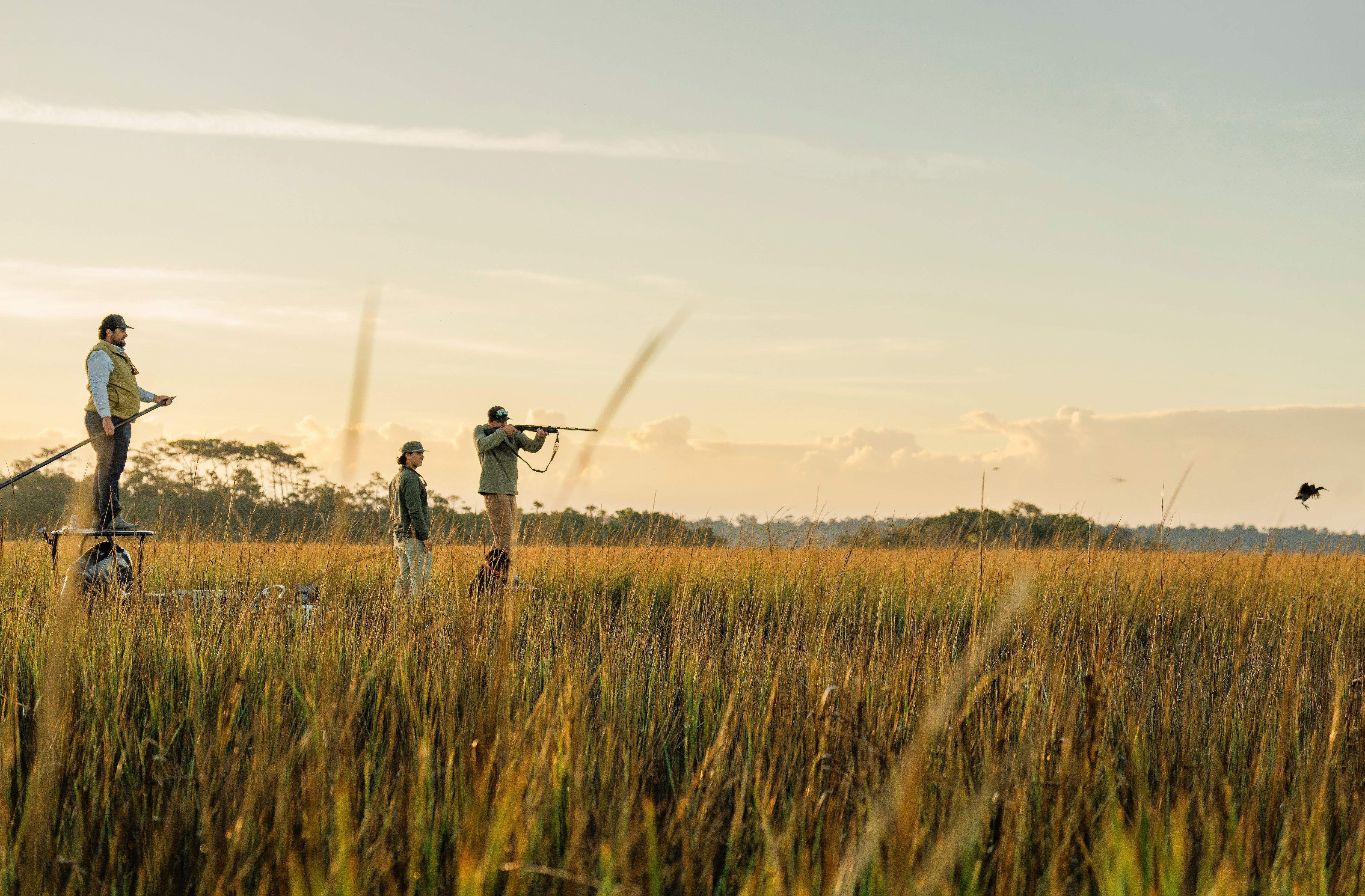 Lowcountry Living