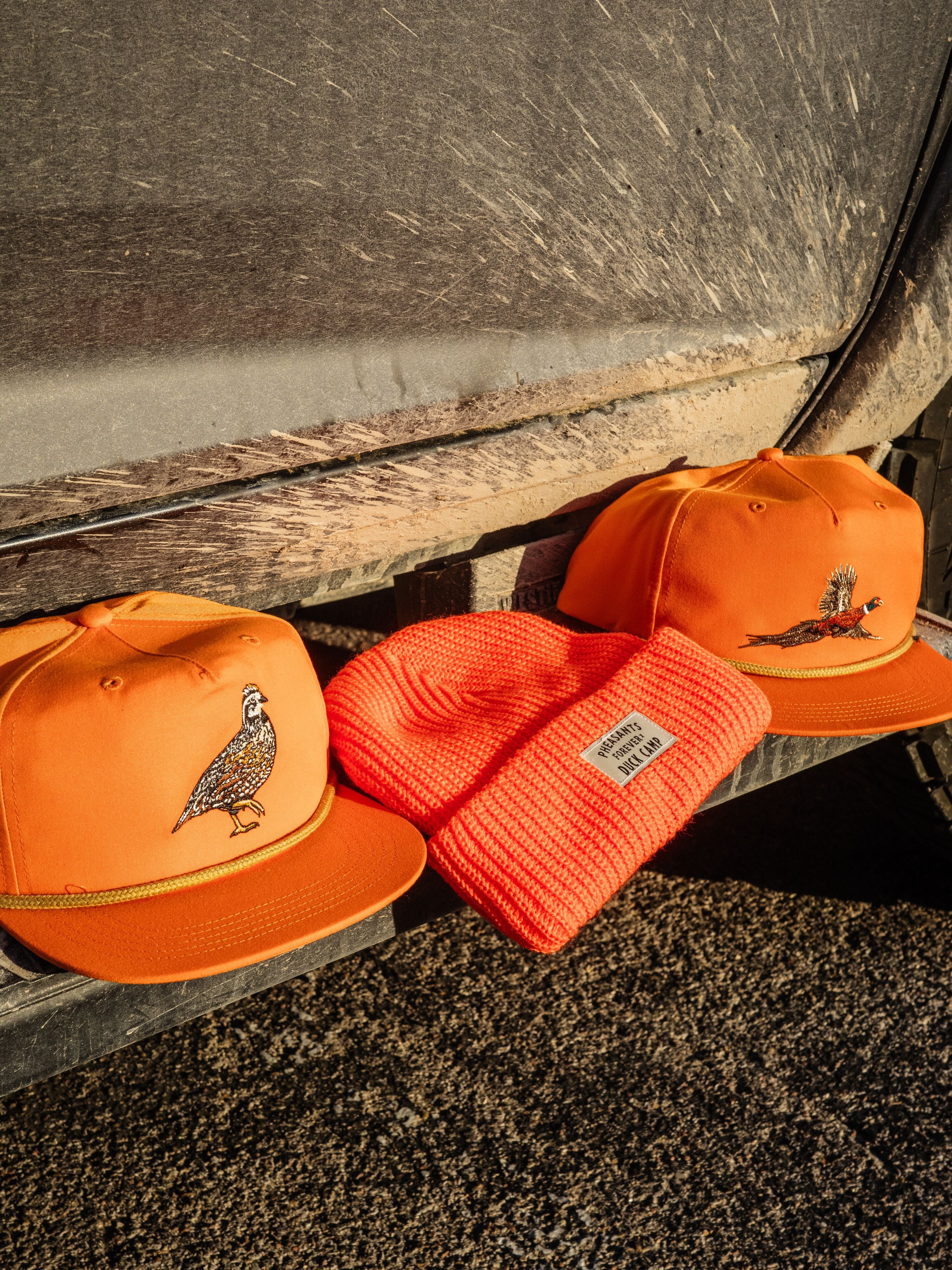 Pheasants Forever x DC Afield Beanie - Blaze