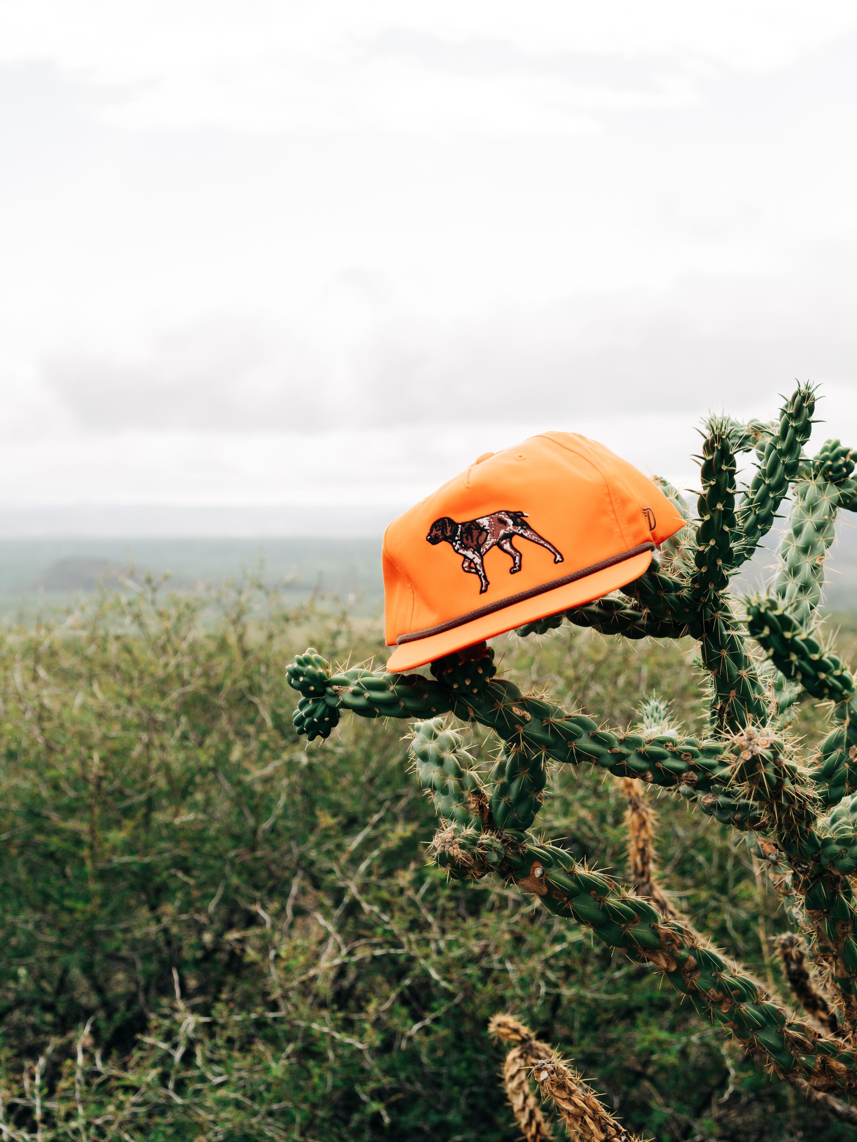 Pointer Hat - Blaze
