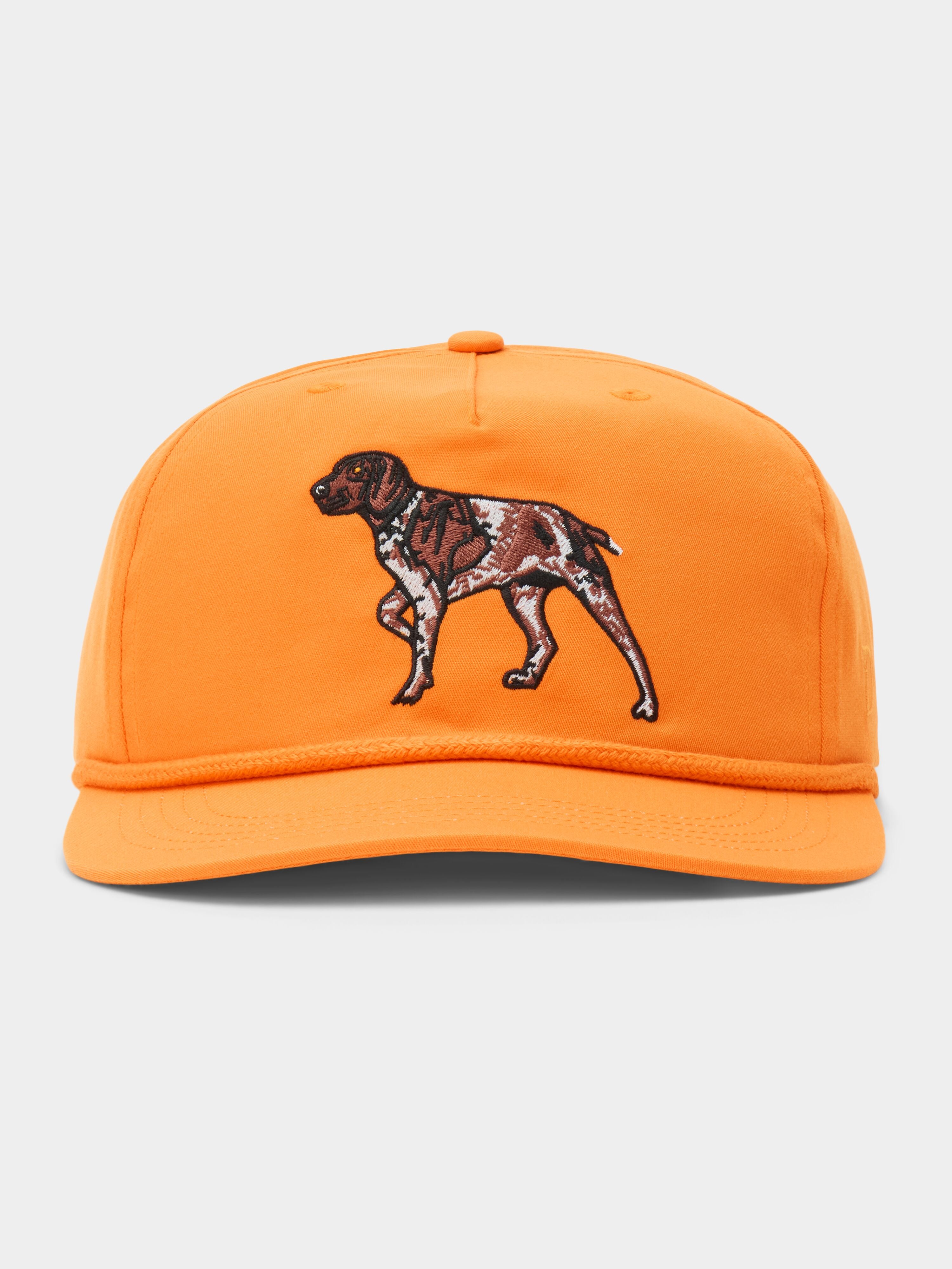Pointer Hat - Blaze