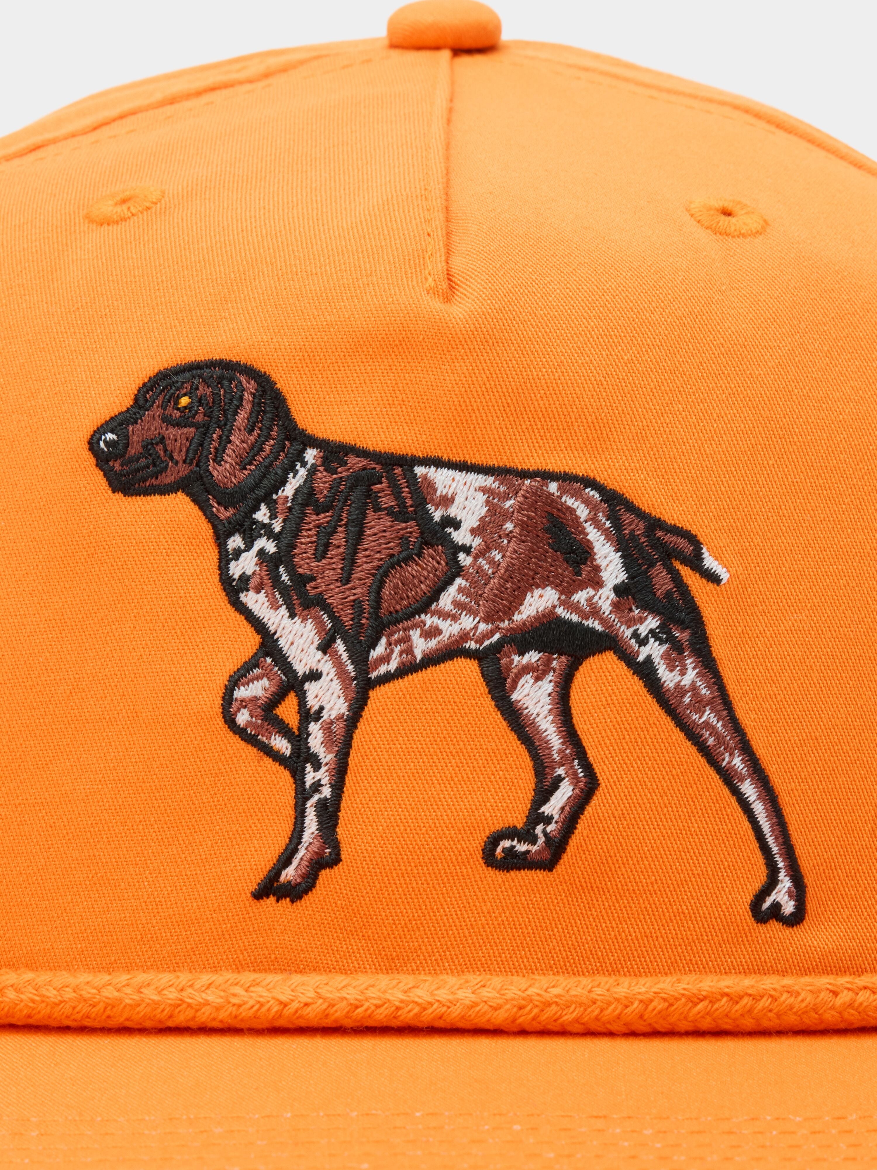 Pointer Hat - Blaze