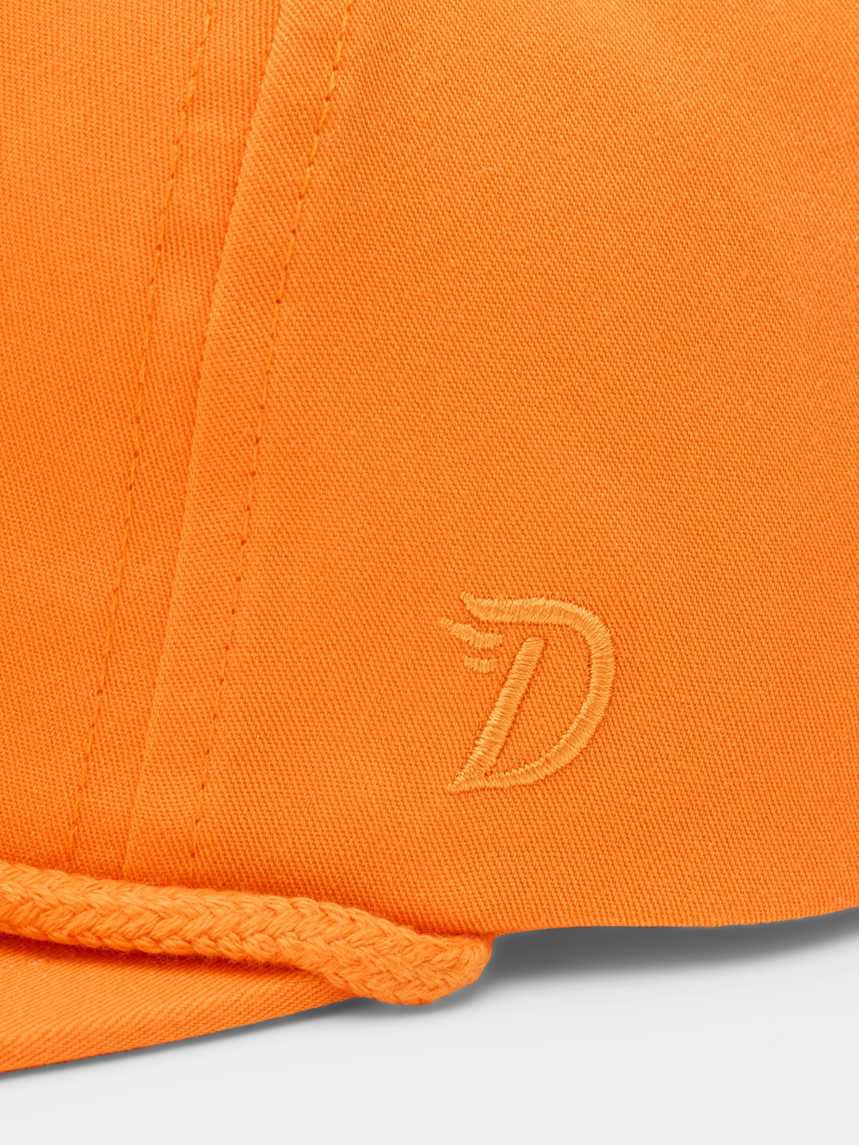 Pointer Hat - Blaze
