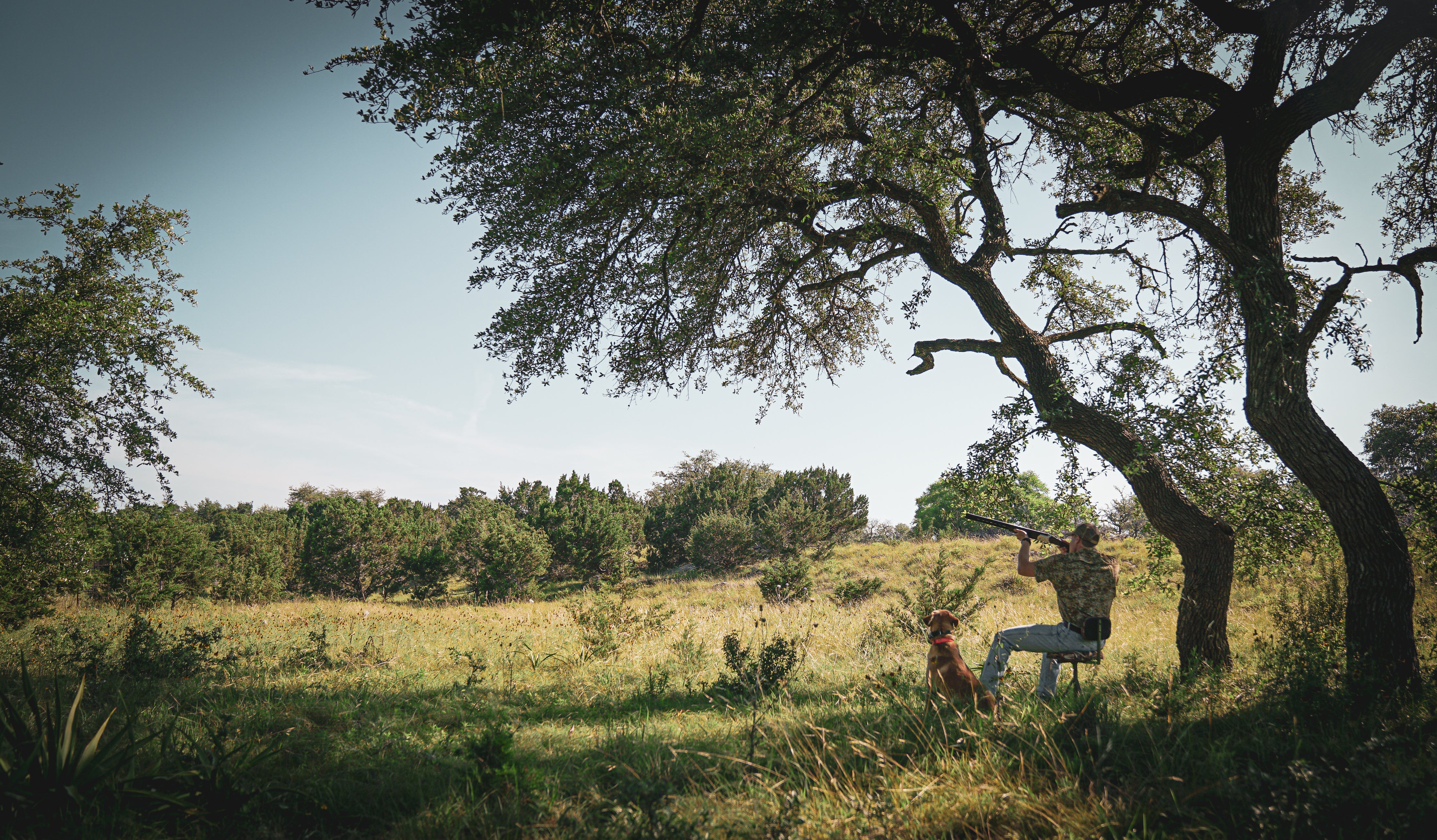 Dove Season Favorites