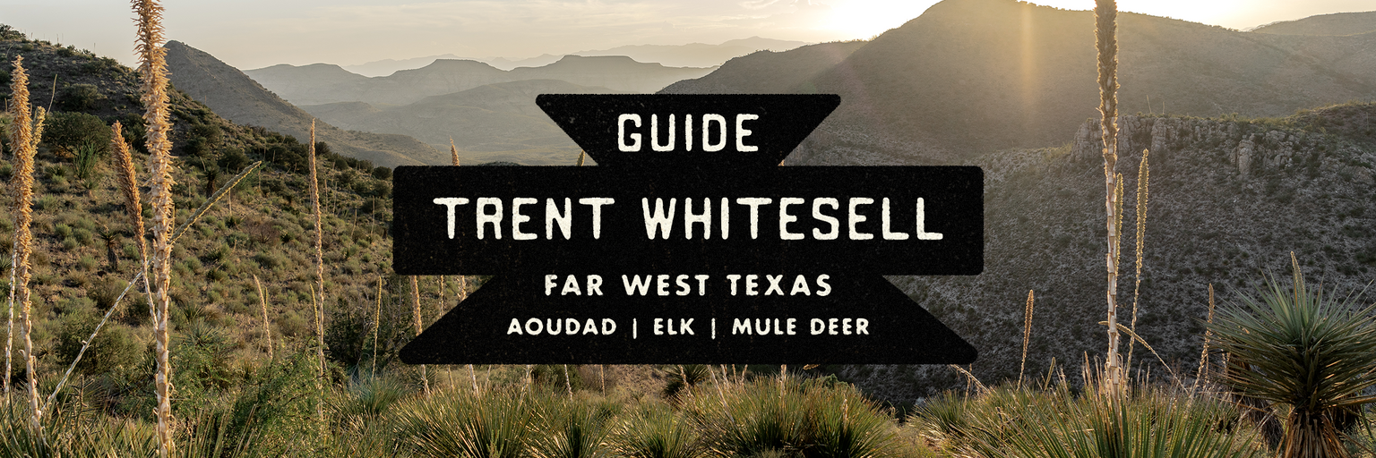 Shop Trent Whitesell's Top Picks