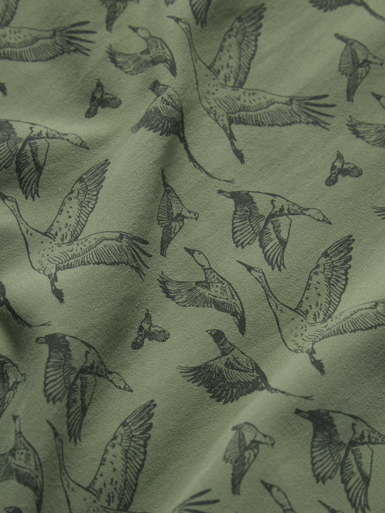 The Birds of a Feather Collection