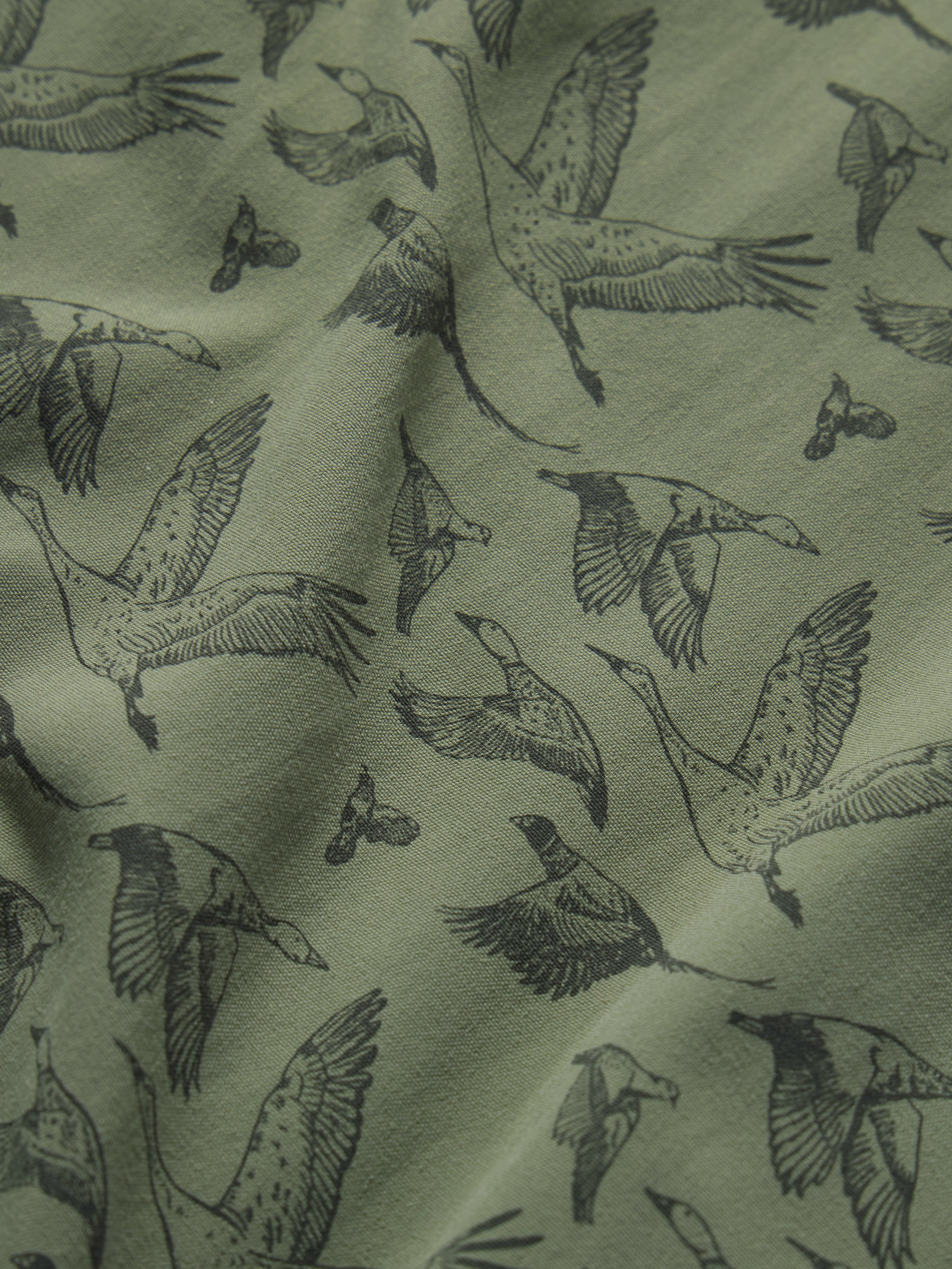 The Birds of a Feather Collection