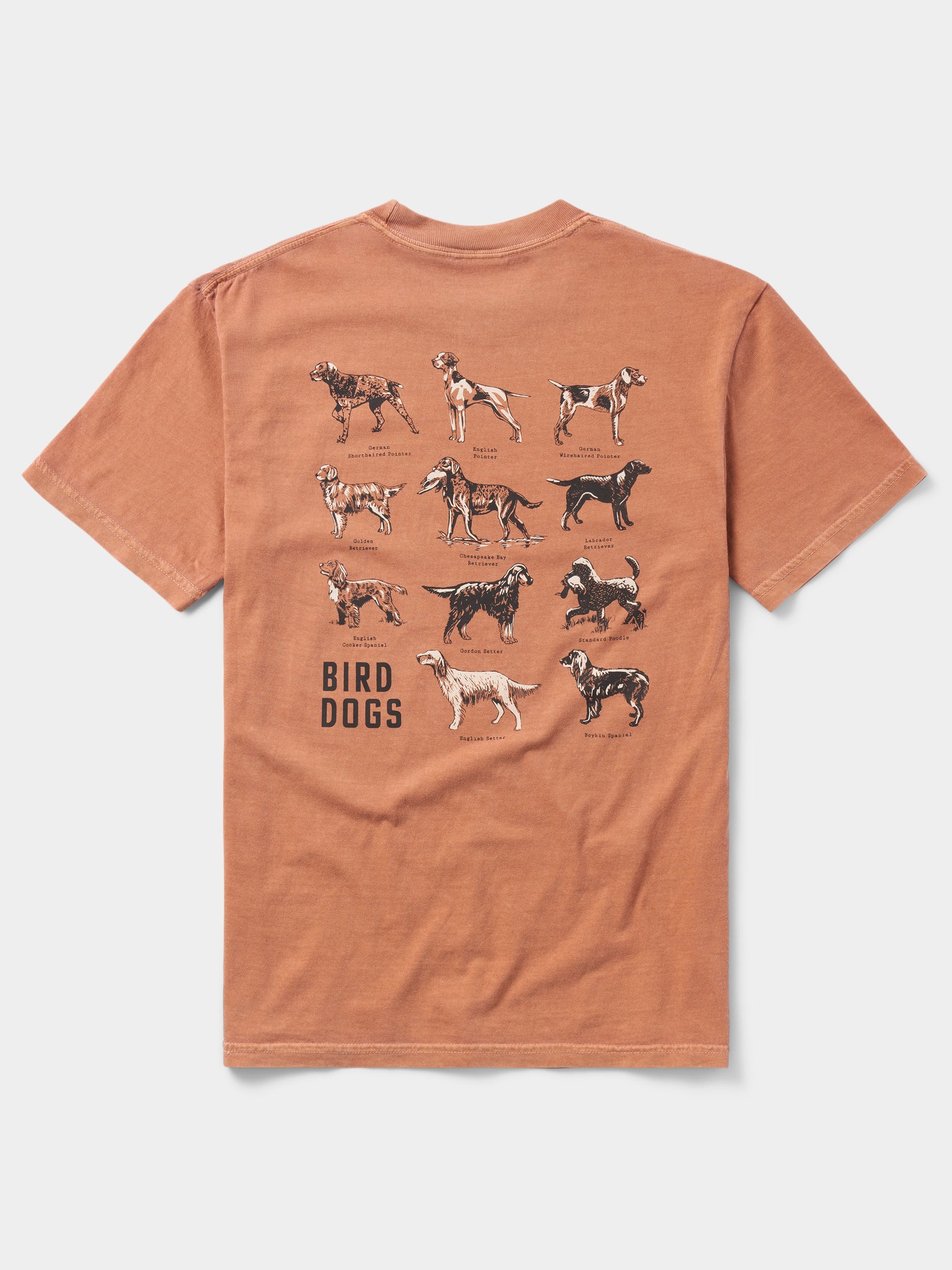 Bird Dogs Tee - Clay