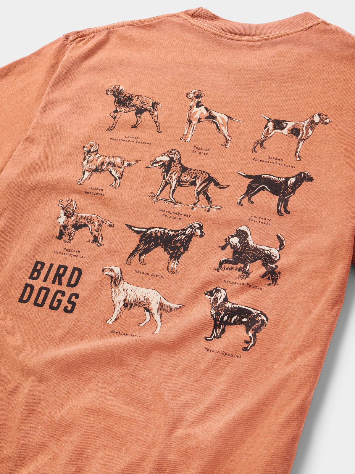 Bird Dogs Tee - Clay