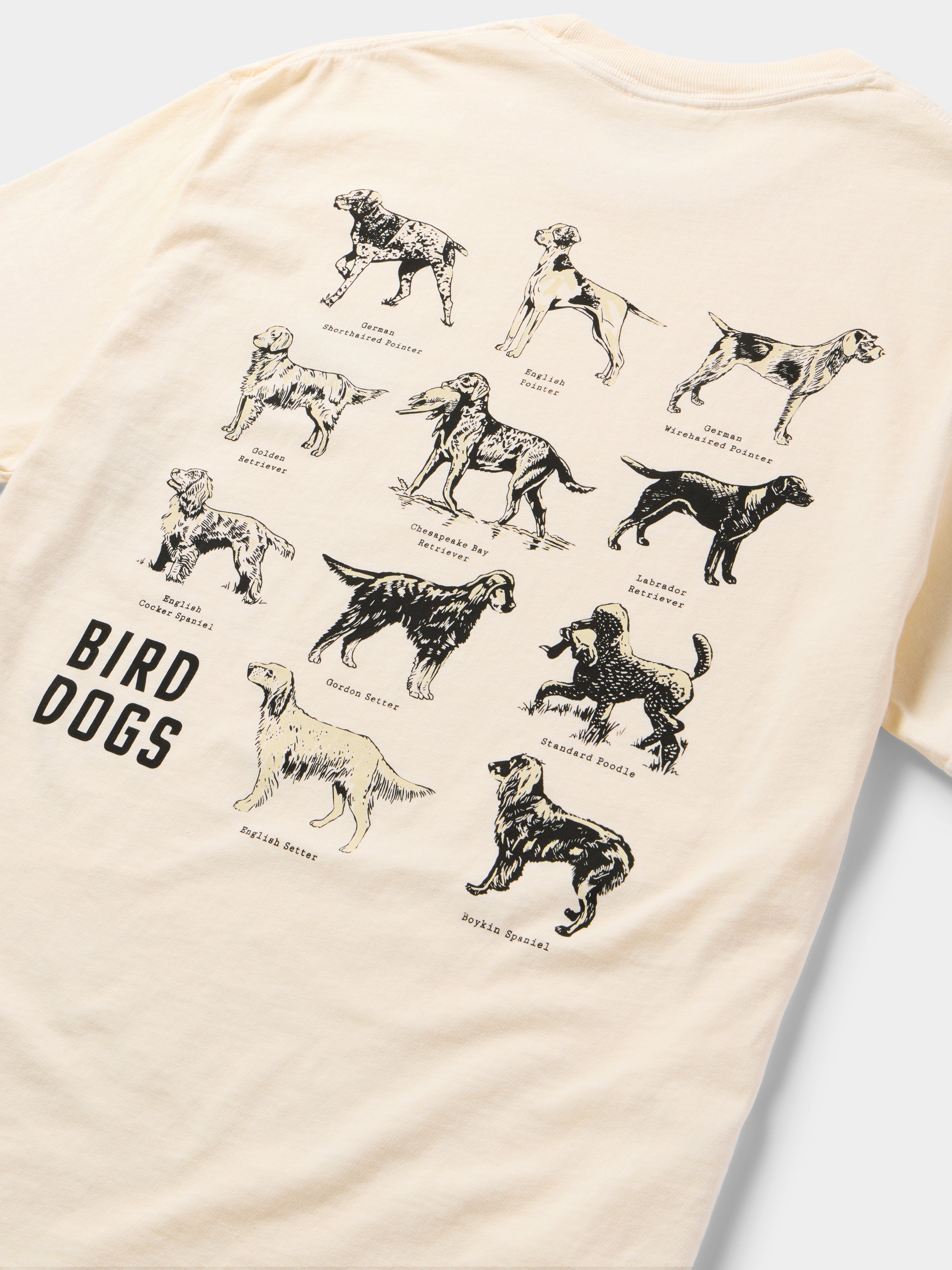 Bird Dogs Tee - Ivory