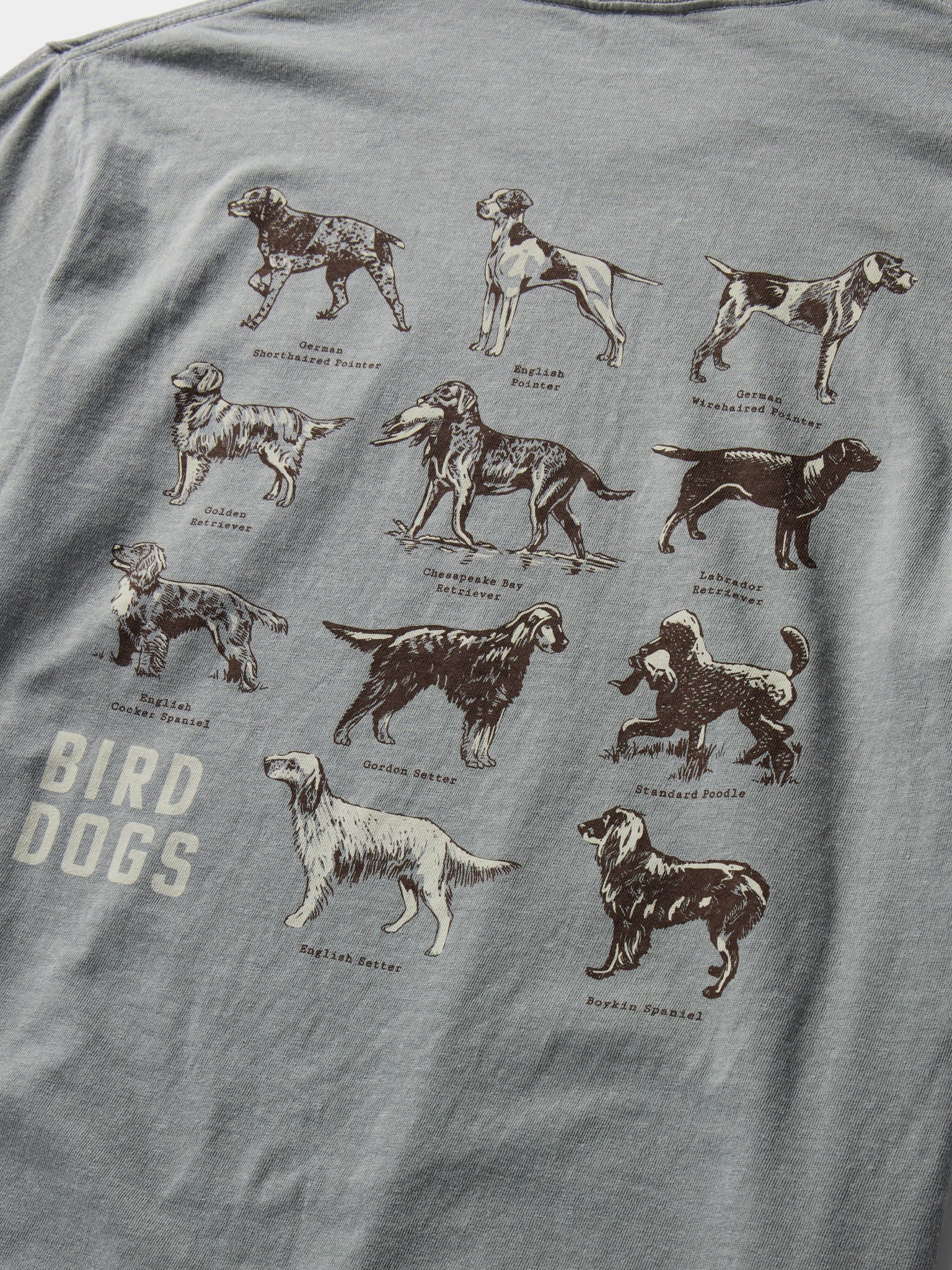 Bird Dogs Tee - Anchor