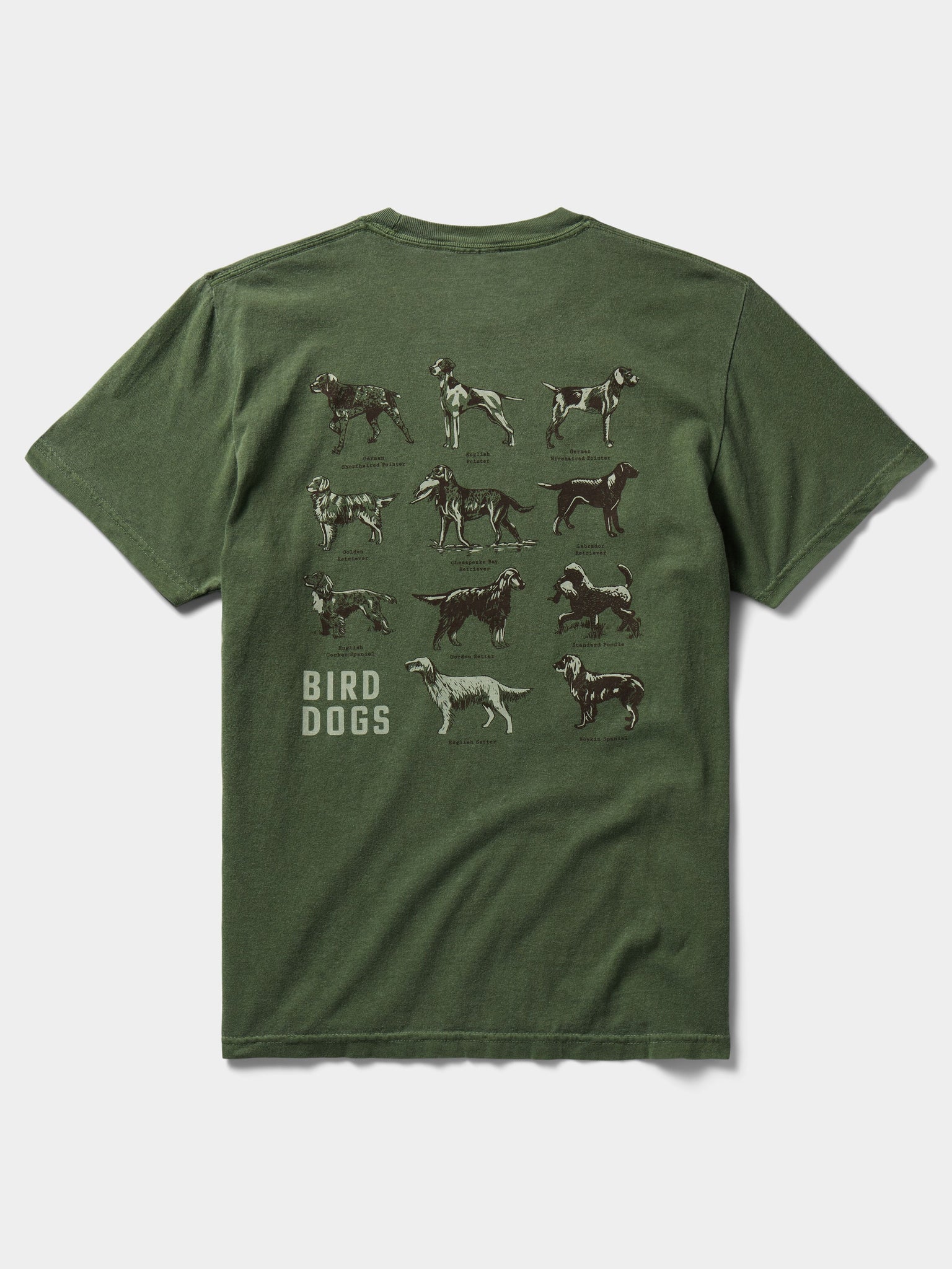 Bird Dogs Tee - Willow