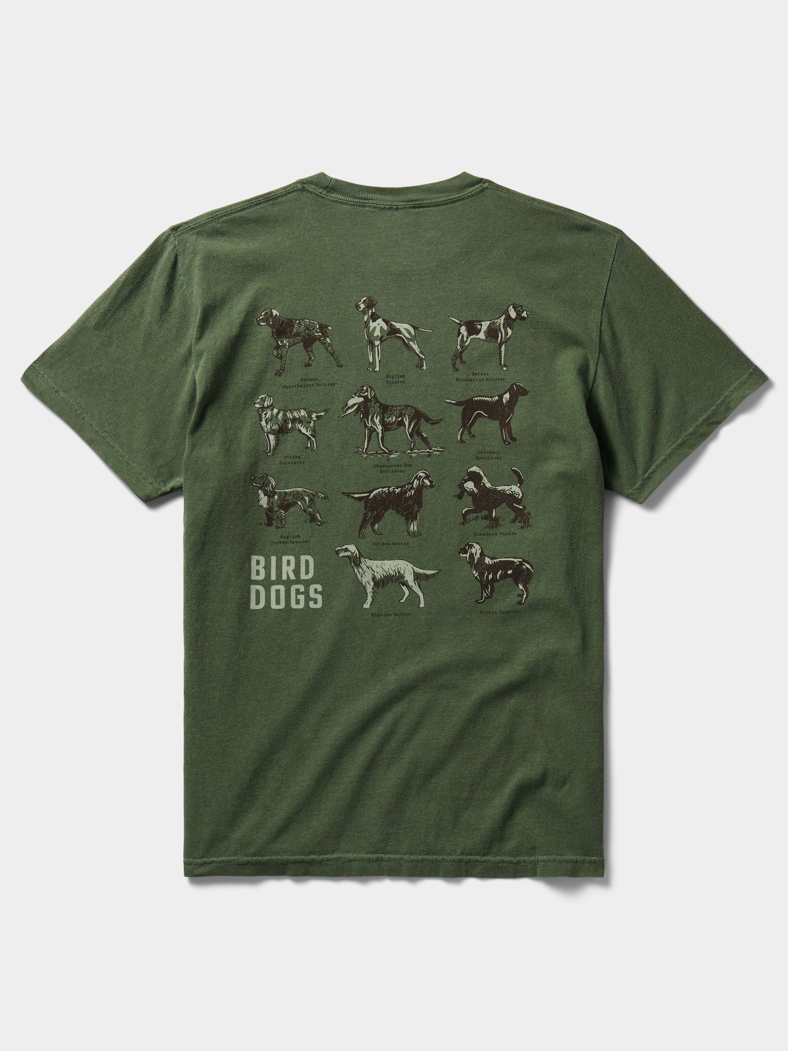 Bird Dogs Tee - Willow