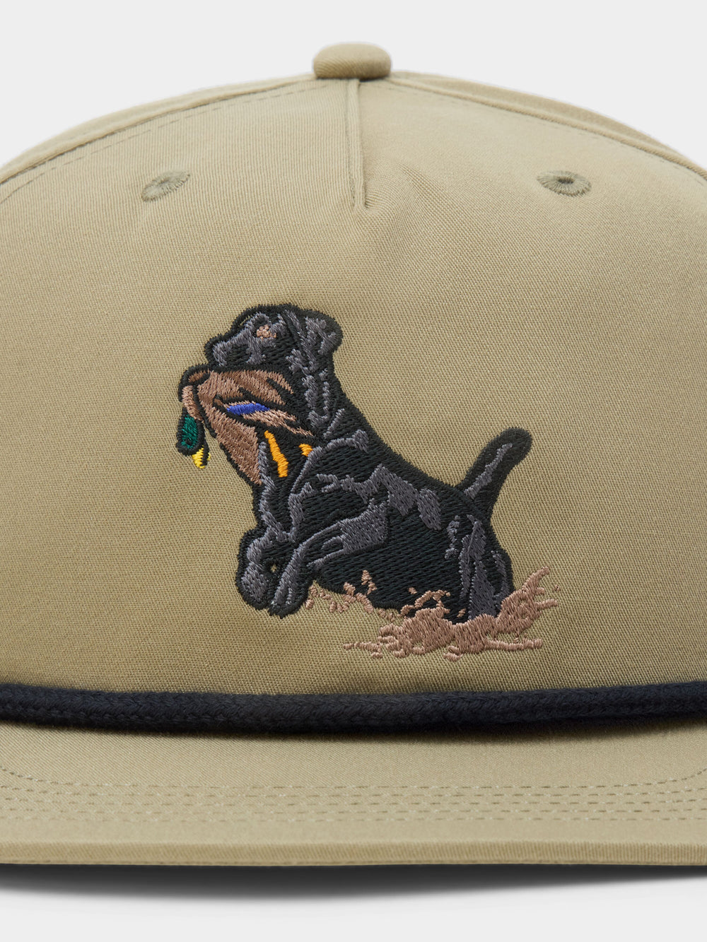 Secret Lab Hat Black Lab Hat - Sagebrush