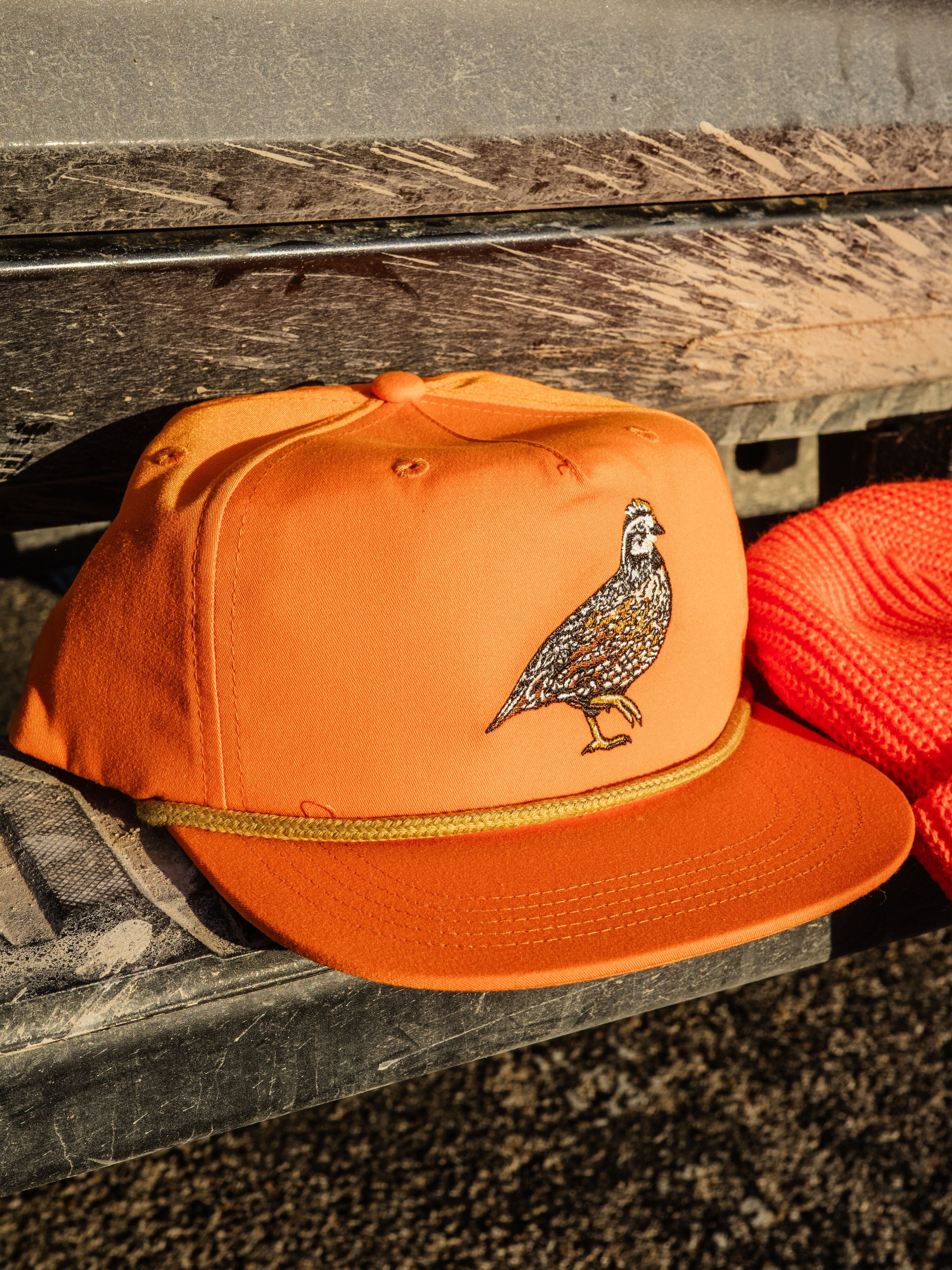 Quail Forever x DC Bobwhite Hat - Blaze