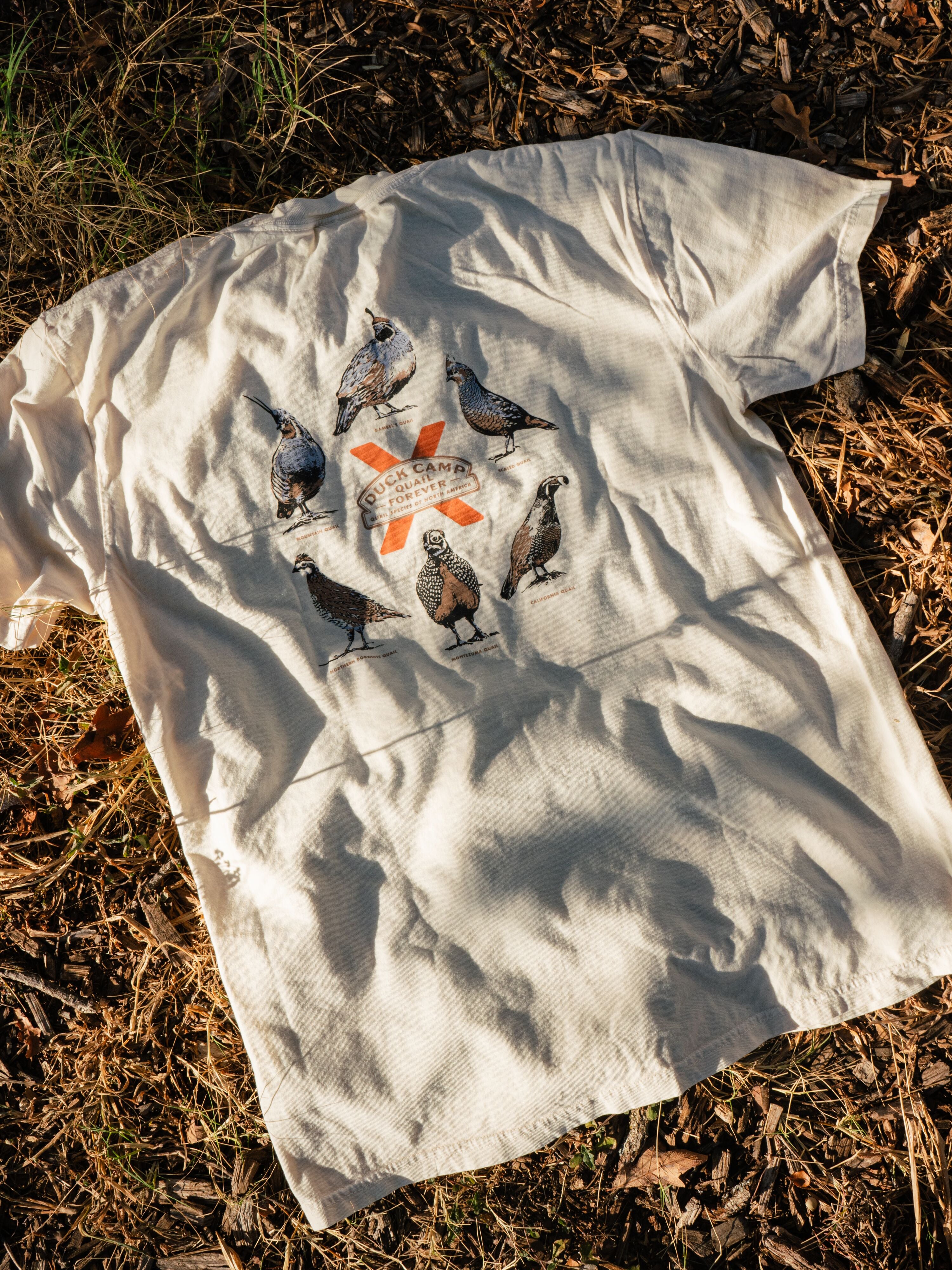 Quail Forever x DC Quail of North America Tee - Ivory