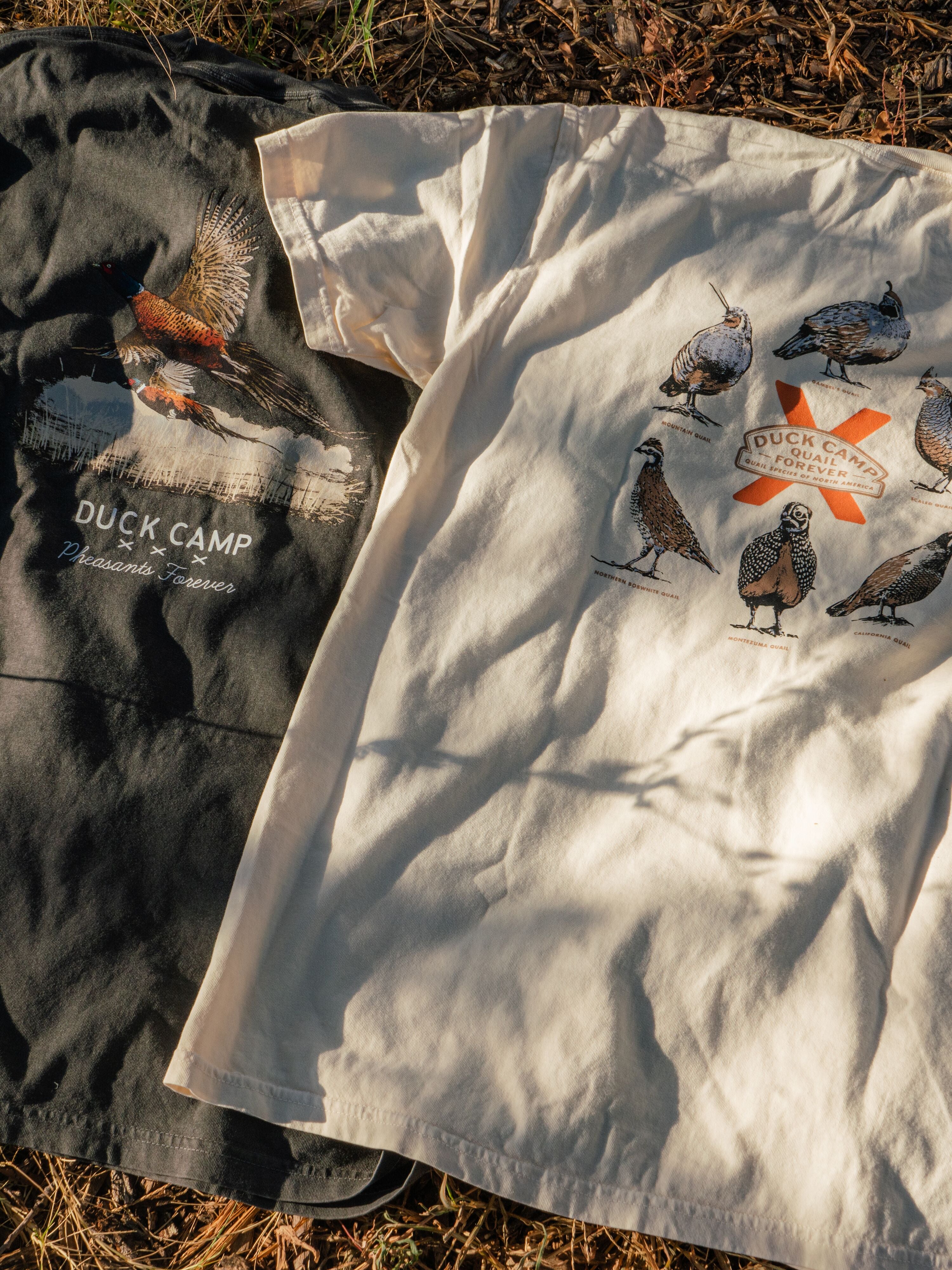 Quail Forever x DC Quail of North America Tee - Ivory