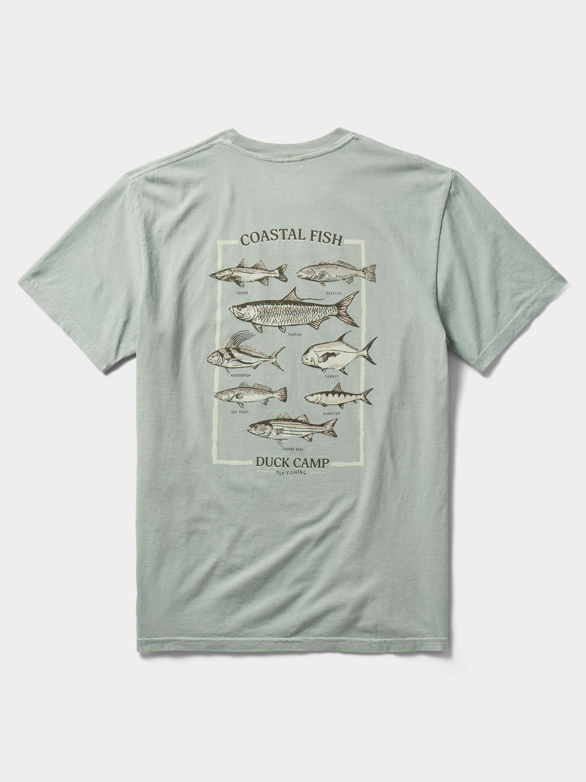 Fish of the Coast Tee - Bay