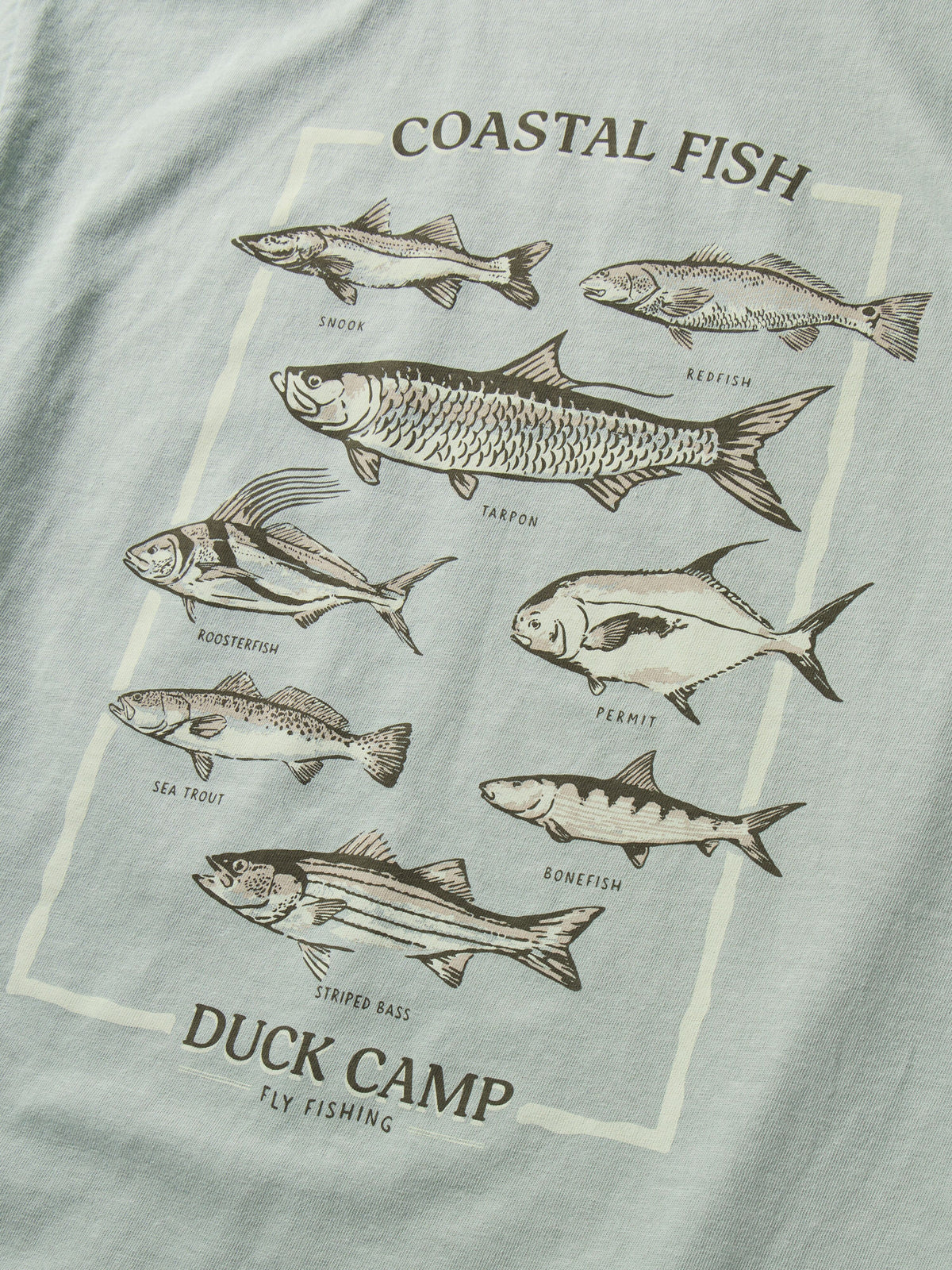 Fish of the Coast Tee - Bay