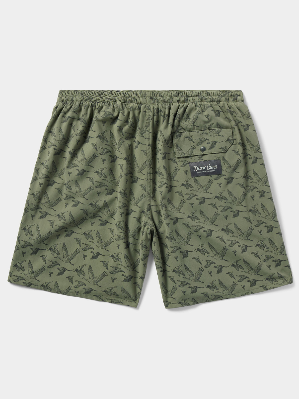 M's Scout Shorts 7" - Birds of a Feather