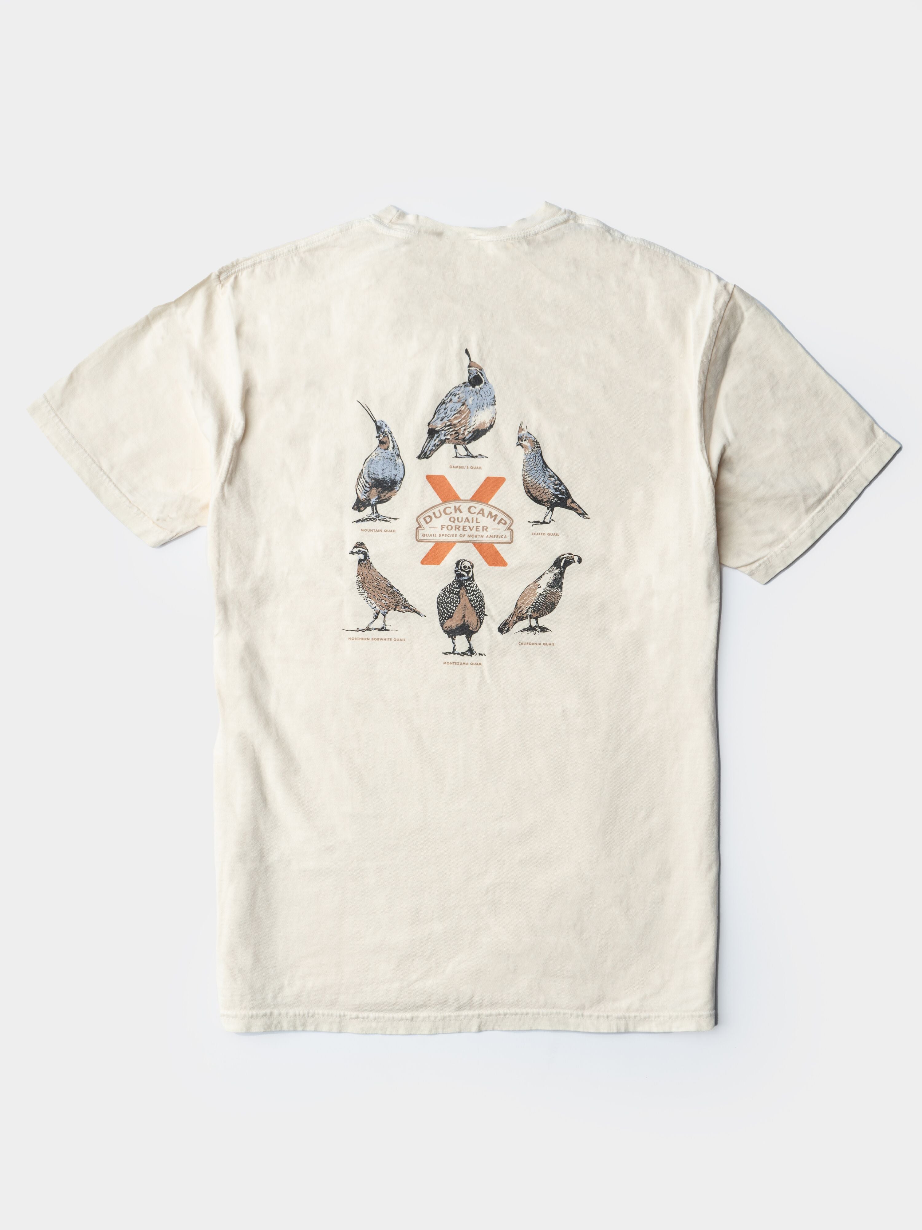 Quail Forever x DC Quail of North America Tee - Ivory