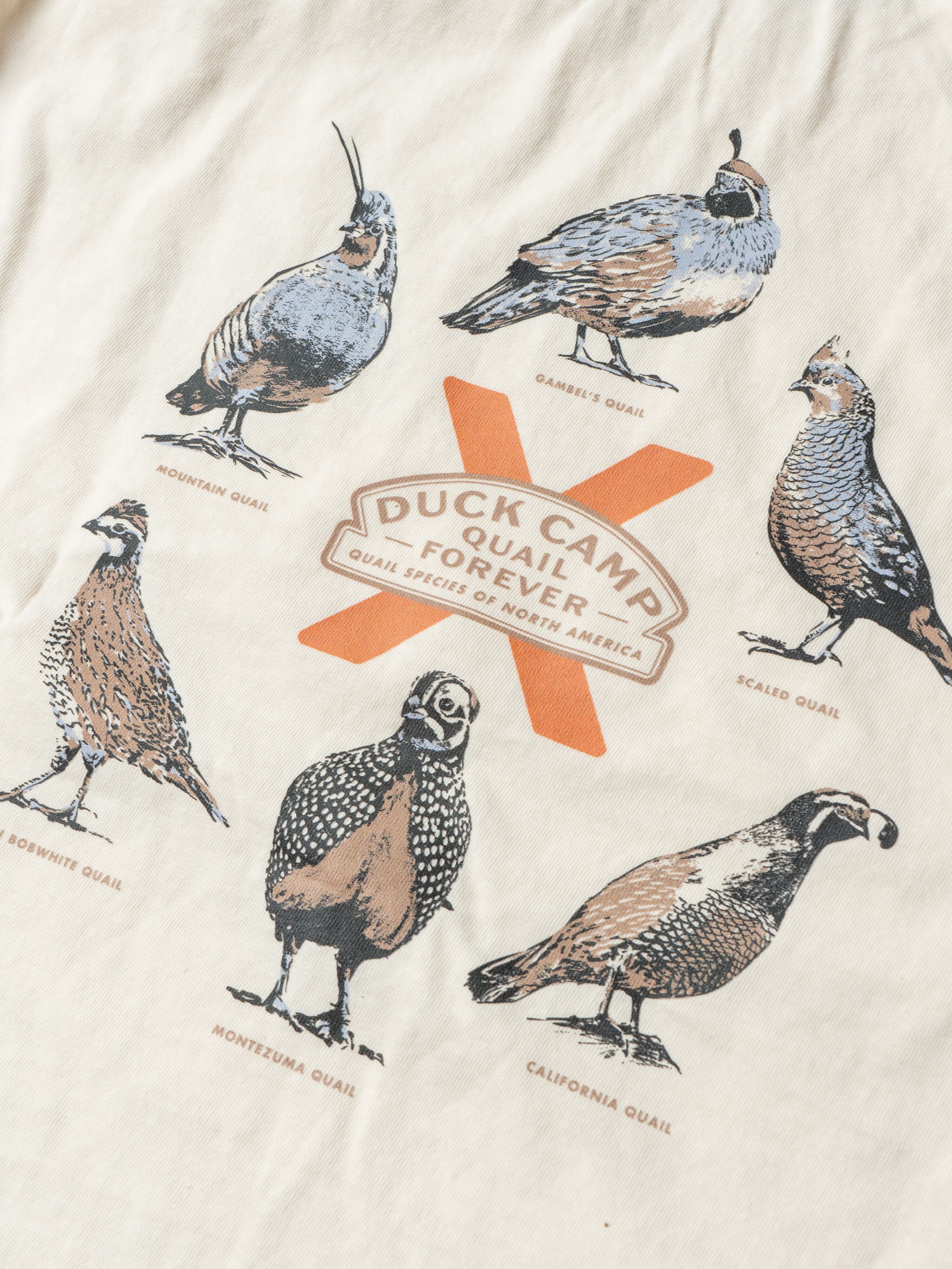 Quail Forever x DC Quail of North America Tee - Ivory