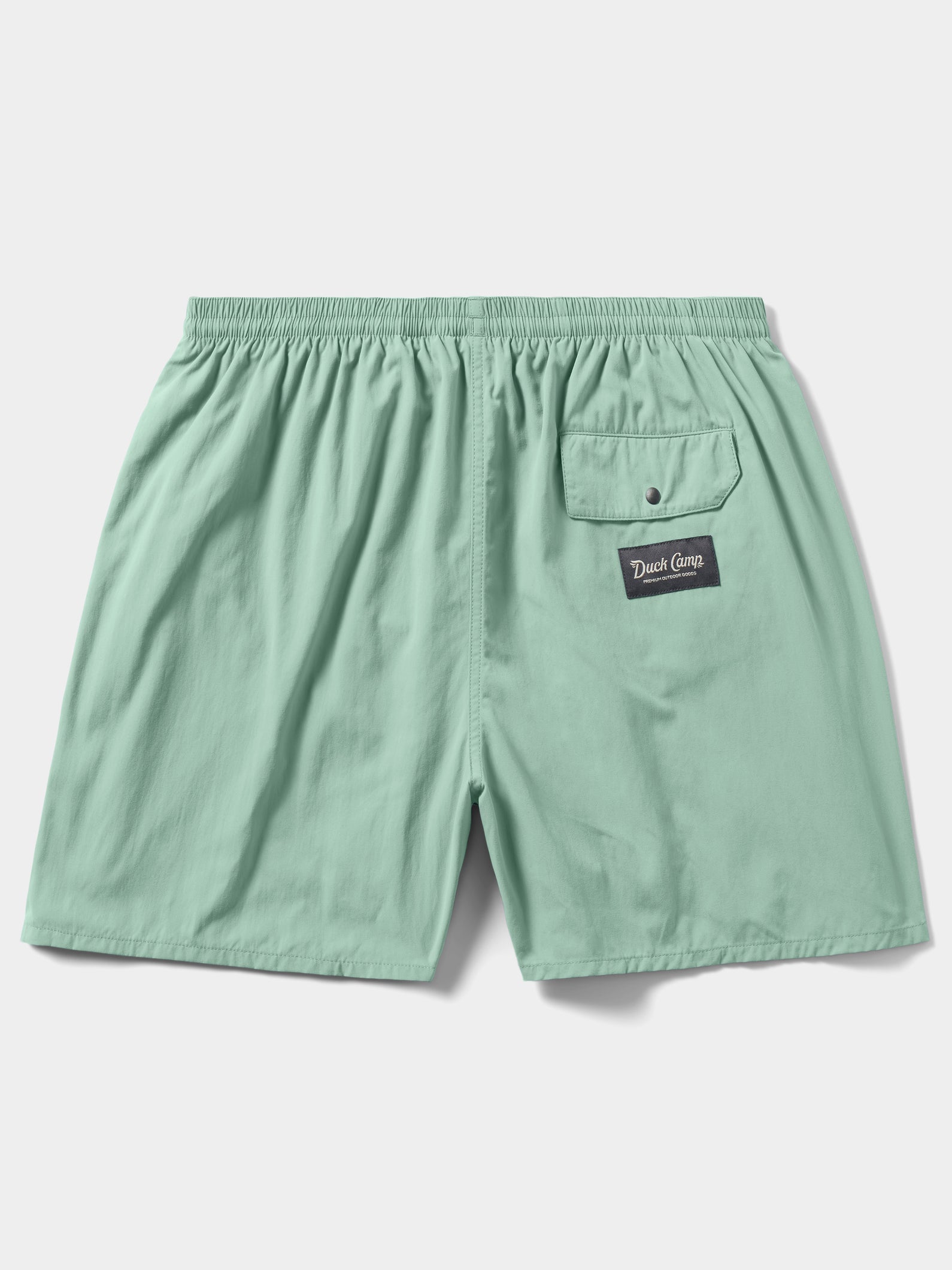 M's Scout Shorts - 5in - Foam Green