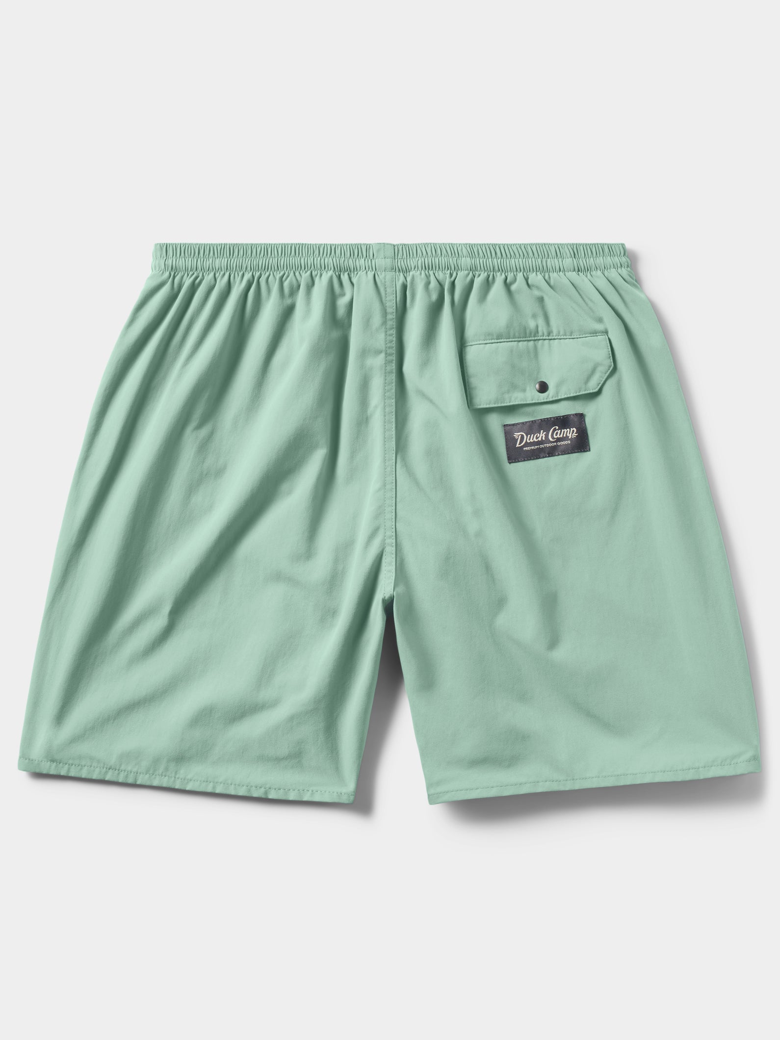 M's Scout Shorts - 7in - Foam Green